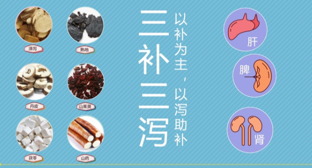 广东食品药品职业学院++视频类++《六味地黄丸的前世今生》修订版